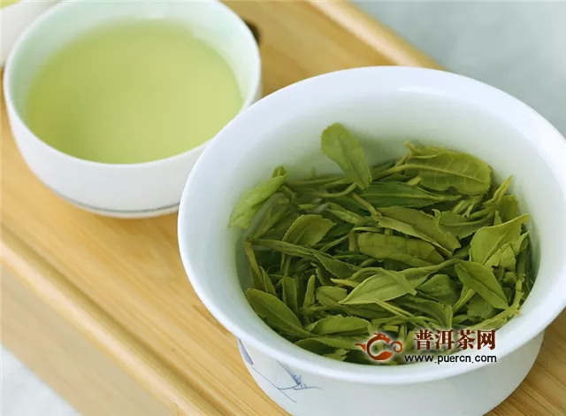 安吉白茶和云雾绿茶都属于绿茶吗