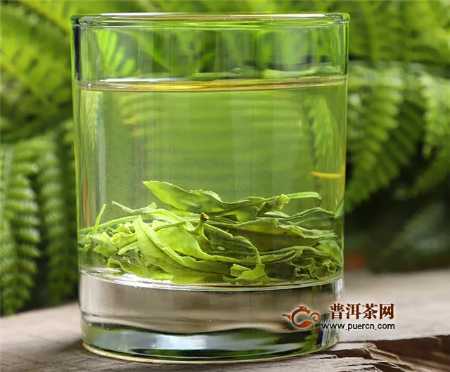 安吉白茶和云雾绿茶的品质特征是什么样的