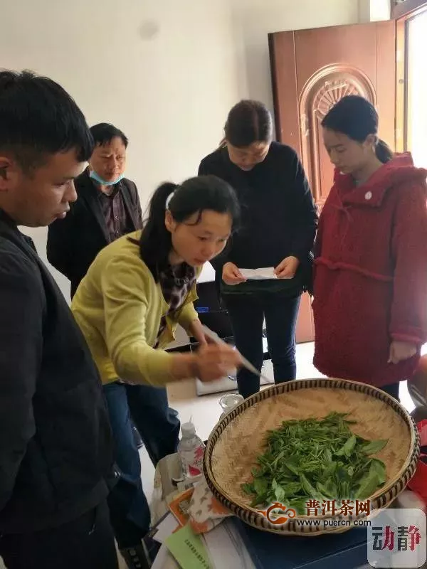 贵州省坚决打击茶园违规使用农药，普定县四名茶农被罚！