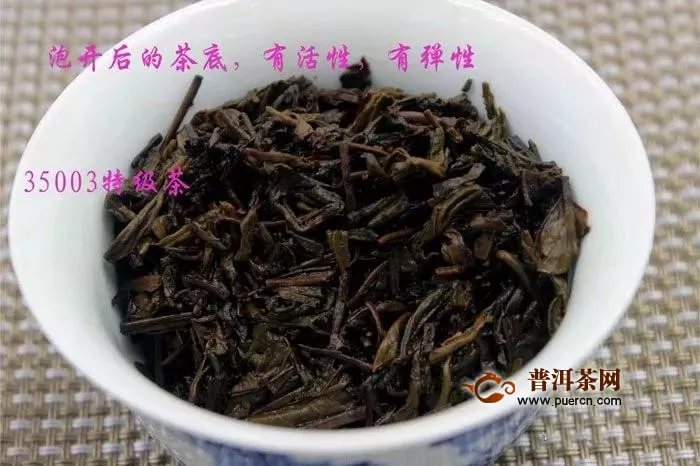 2013年梧州茶厂三鹤35003精品六堡茶开汤品鉴