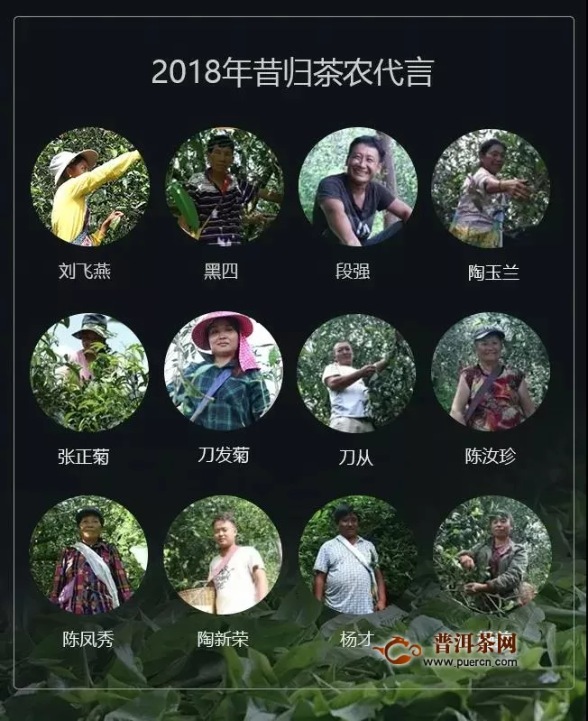 四次发酵昔归老寨古树茶后，书院熟茶首款五星级昔归熟茶重磅推出！