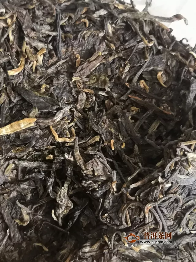 兴海臻源，茶之真源：2020年兴海茶业臻源生茶