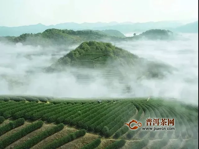 吉普号茶山黑话192：喊话《三十而已》顾佳：茶厂不能这么做！