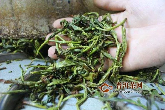 正常選購烏龍茶的技巧