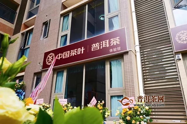 8月28日，上海、广州、深圳、武汉四城同时举办中茶翡翠八八青饼品鉴活动
