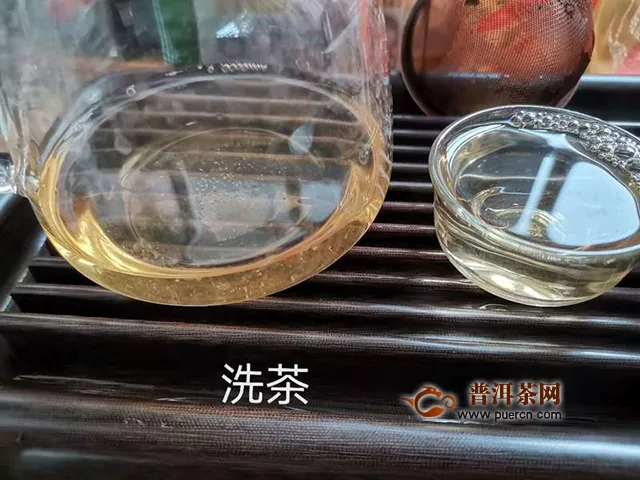 感恩相遇：2019年洪普号探秘系列雪藏生茶