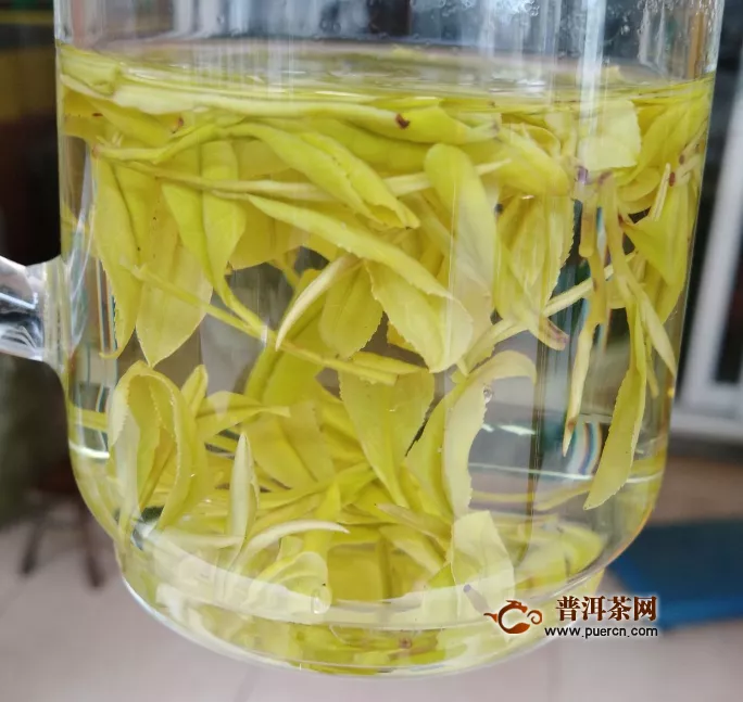 黄茶多少钱一斤正常