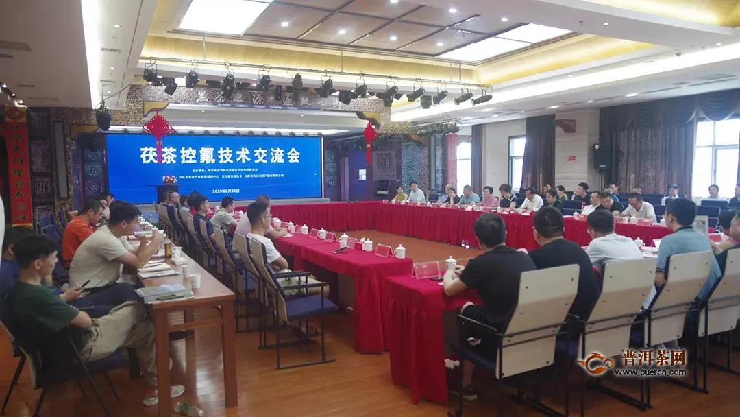 2020年茯茶技术交流会在湖南安化召开