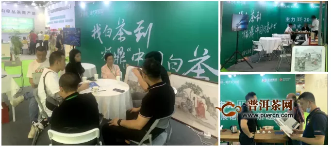 中国白茶中心亮相上海茶博会