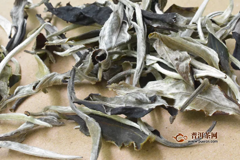白茶白牡丹是什么种类的茶叶
