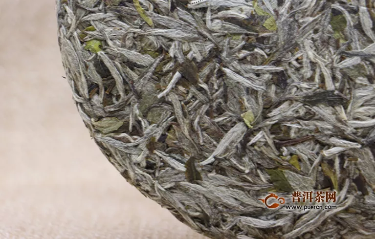 福鼎白茶白毫银针茶青简述