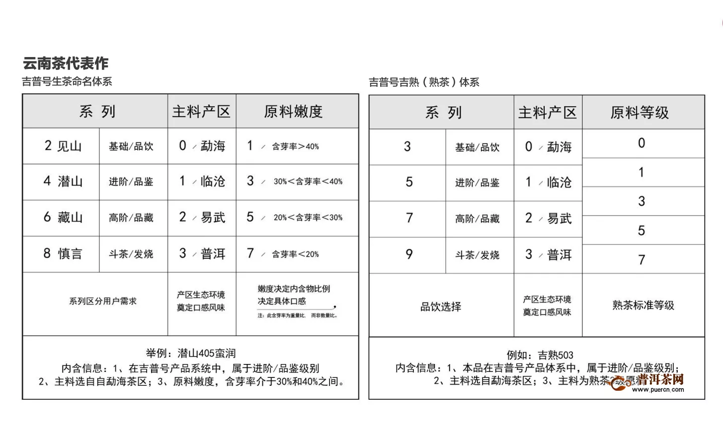 吉普號8年：布局云南茶，“破圈”進行時