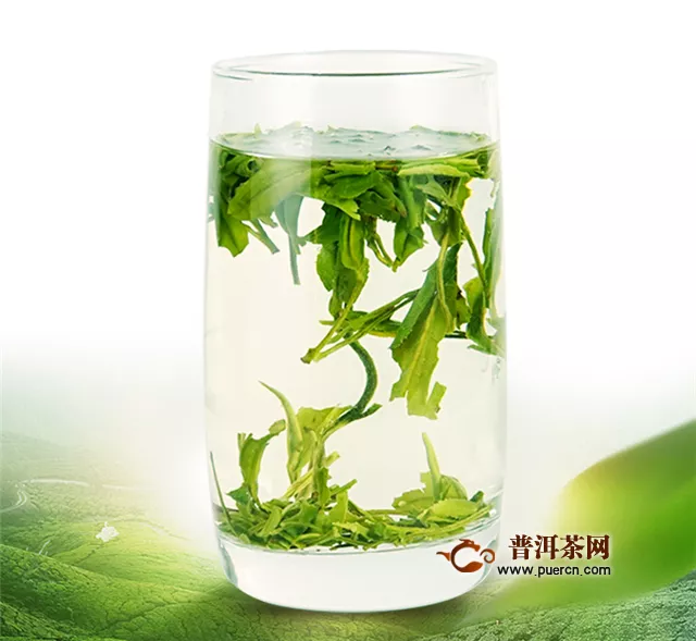 绿茶和乌龙茶哪种含茶多酚高