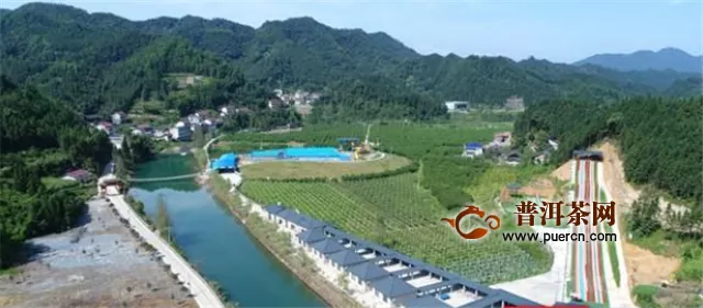 安化凭什么被评为中国茶业百强县第一，中国十大生态产茶县？