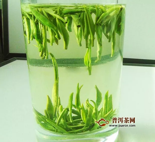 喝雀舌茶綠茶有什么好處