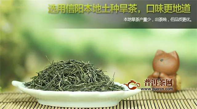崂山绿茶和毛尖茶哪个好？信阳毛尖和都匀毛尖是中国十大名茶之一！