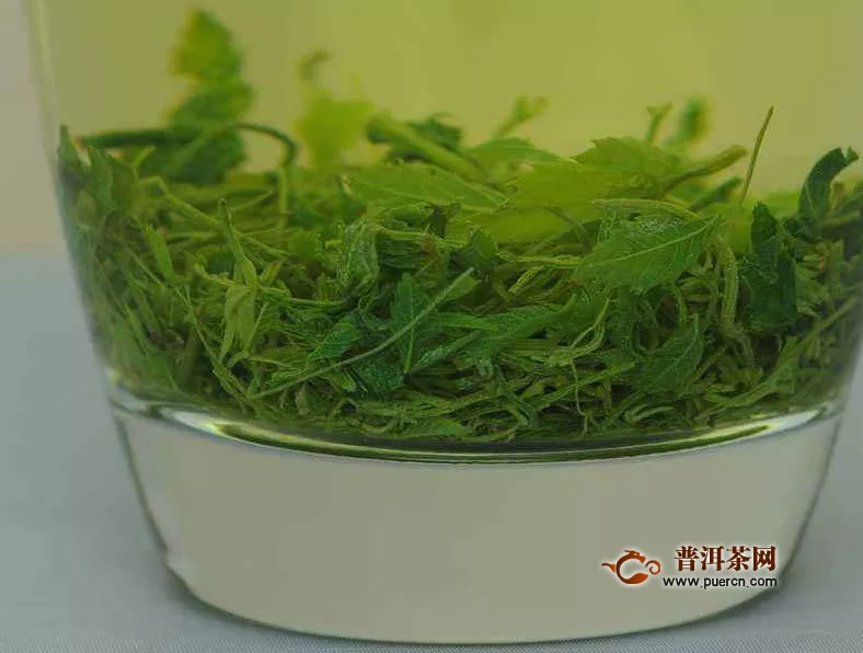 绞股蓝茶的功效有哪些