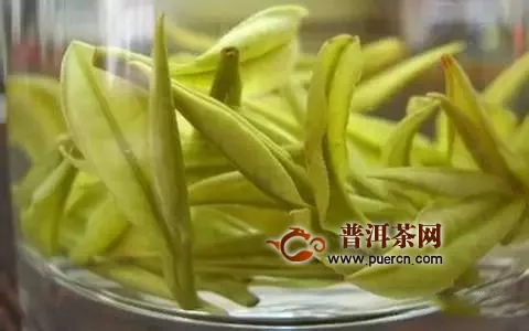 黄茶代表茶有哪些