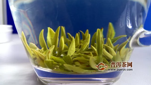 绿茶的作用及禁忌症