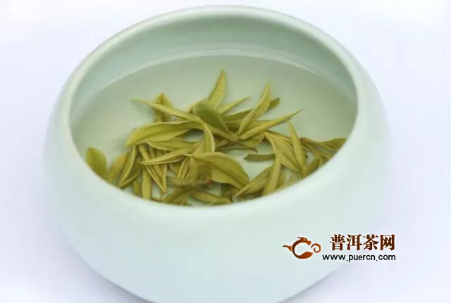 浙江安吉白茶属于绿茶是不是