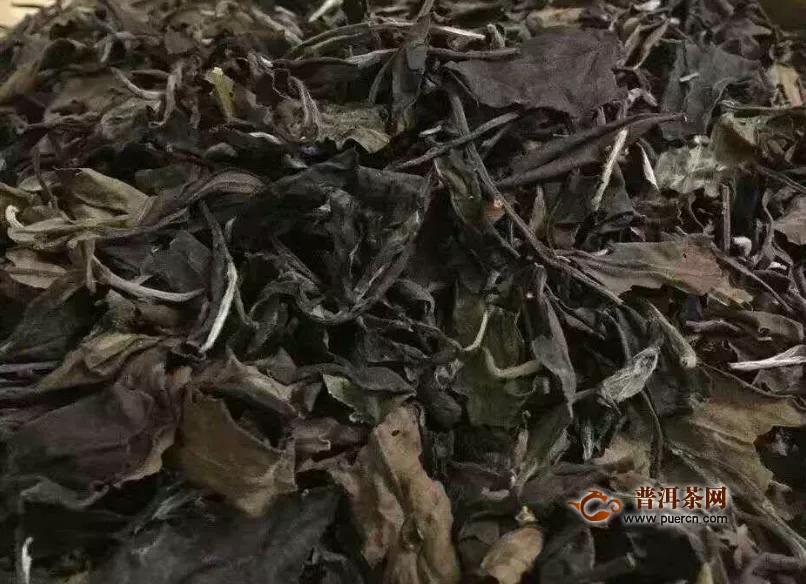 白茶哪个品种的适合收藏