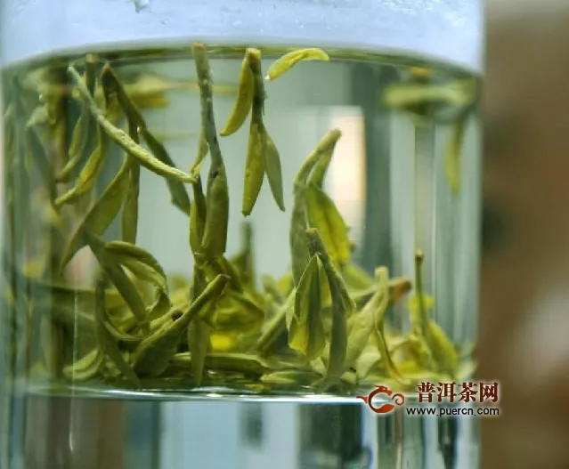 绿茶（未发酵茶）的制作工艺简述