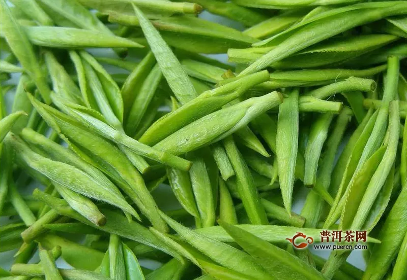 六安瓜片綠茶產(chǎn)地介紹