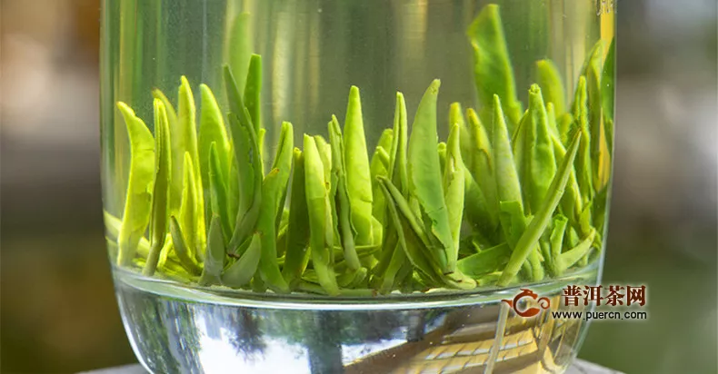 绿茶雨花茶产地在哪里