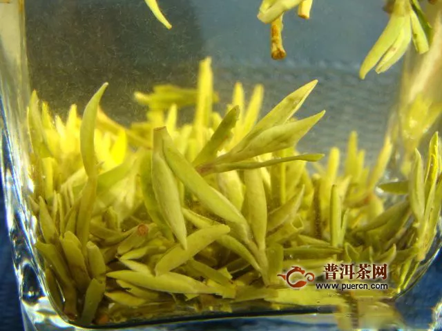 为什么雨花茶的口感苦涩