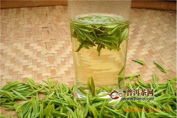 竹叶青是什么茶种