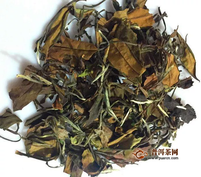 寿眉白茶属于哪一种茶叶