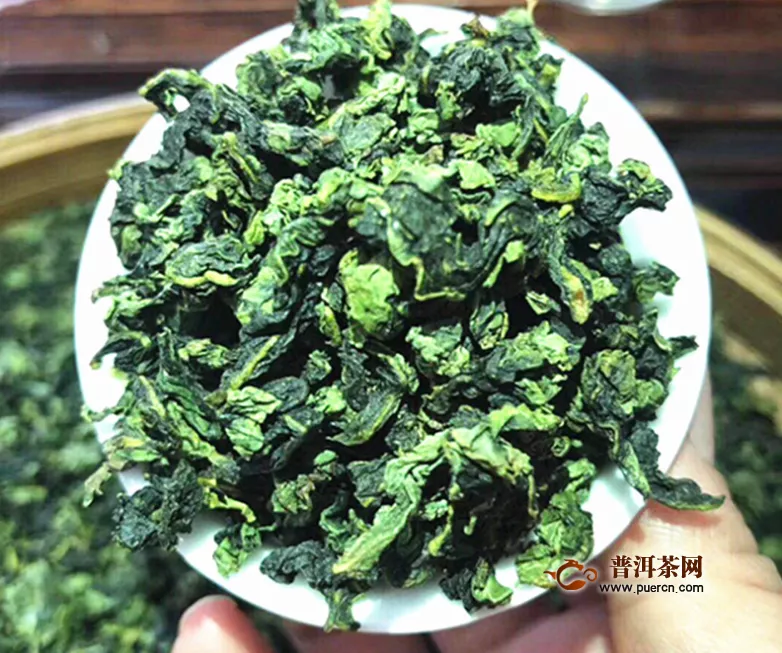 乌龙茶植物长什么样子