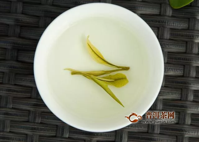 安吉白茶优质的多少钱一斤