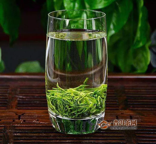 绿茶什么时候喝最好呢