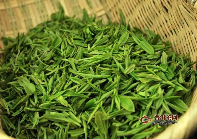 簡(jiǎn)單分辨綠茶品質(zhì)的方法