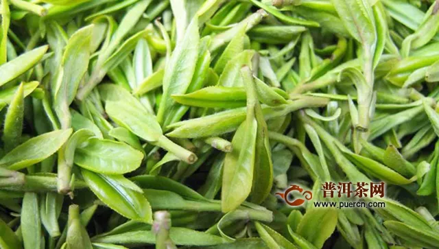 雨花茶新茶采摘季節(jié)